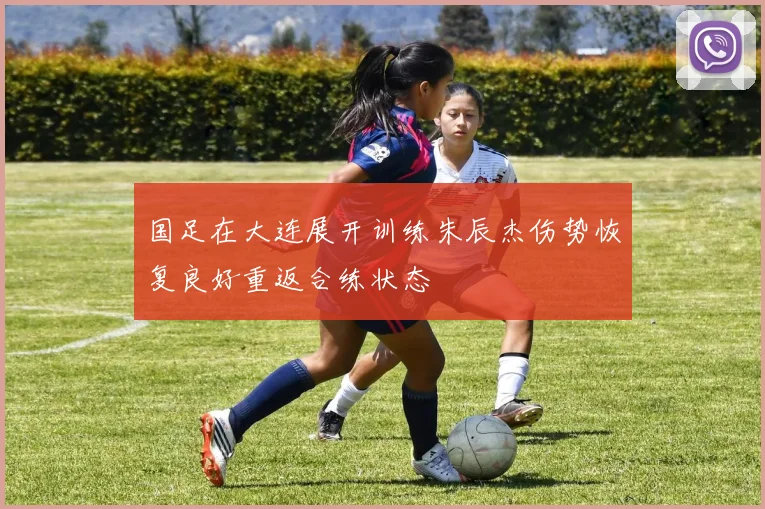 国足在大连展开训练朱辰杰伤势恢复良好重返合练状态